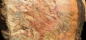 book a tour to chinnar