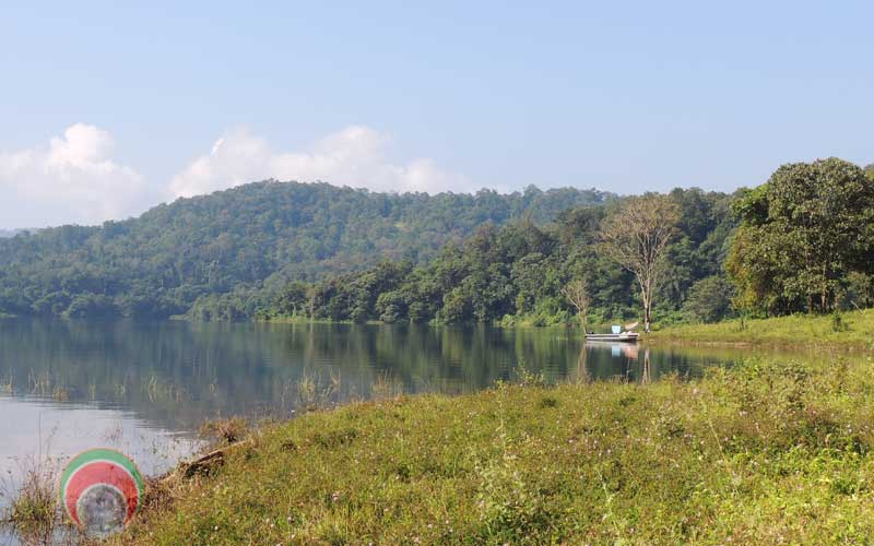 forest of Chimmony mazinagidi
