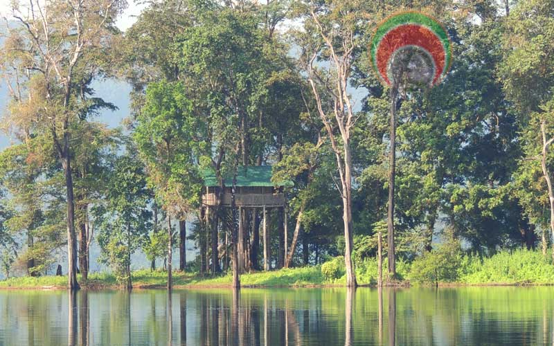 tree house camp in Chimmony mazinagidi