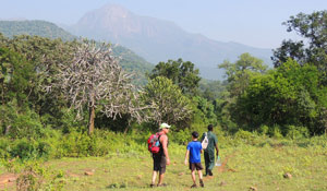 Wester ghats explorer