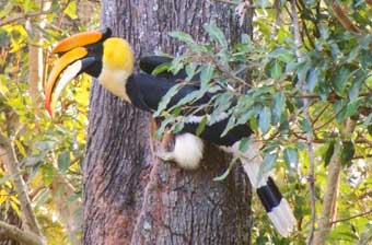archaeology and history tour