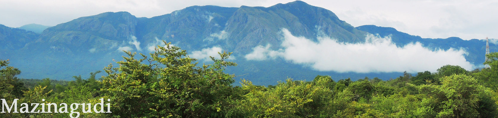 keralawildlife tours