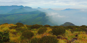 Wester ghats explorer