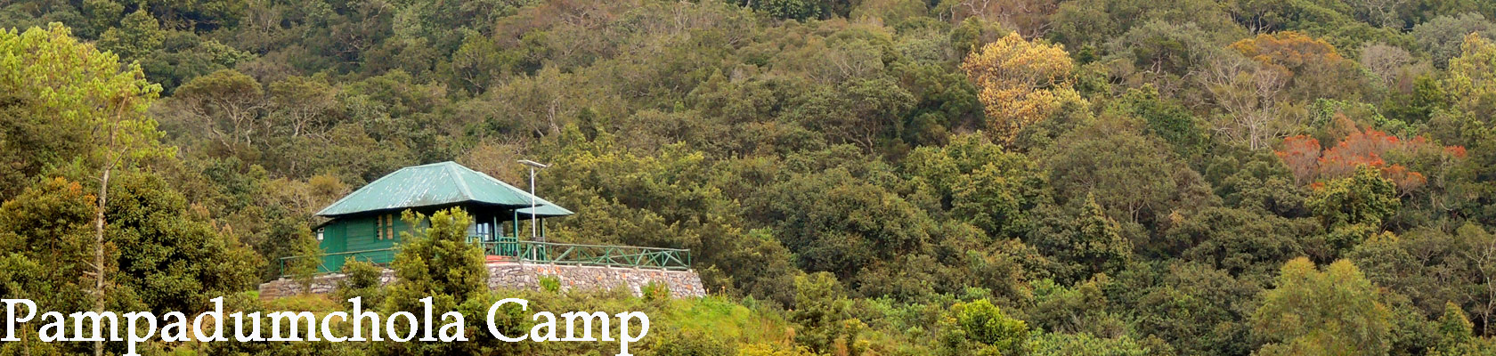 keralawildlife tours