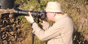 Jungle camping in Mazinagudi