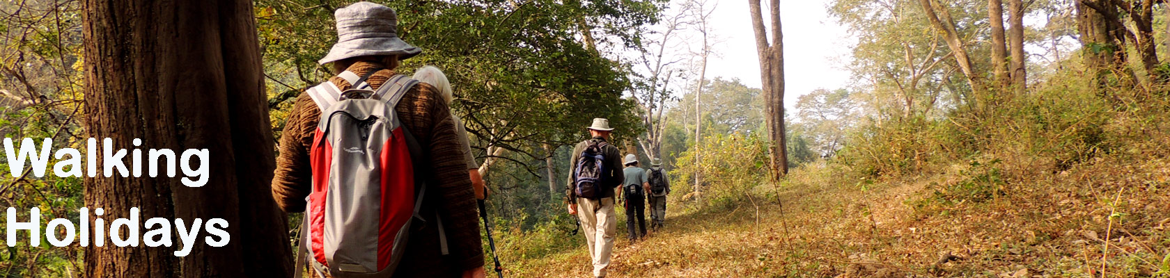 keralawildlife tours