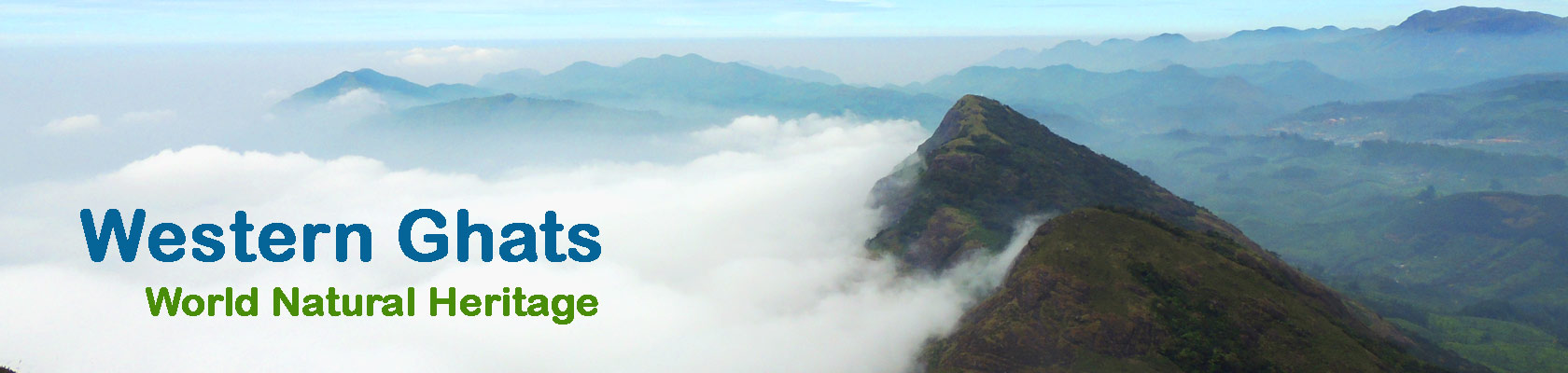 keralawildlife tours