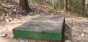 Wester ghats explorer