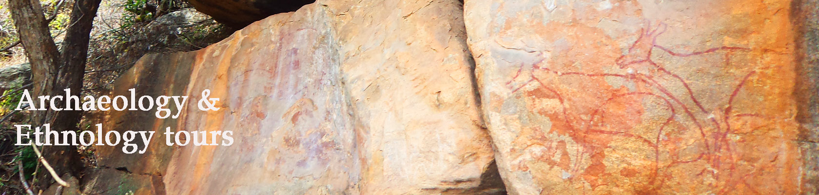 keralawildlife tours