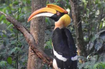 book a tour to chinnar