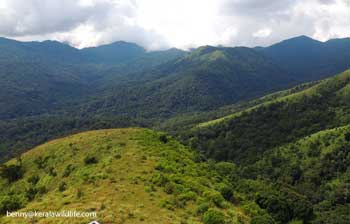 book a tour to chinnar