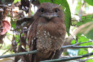 book a tour to chinnar