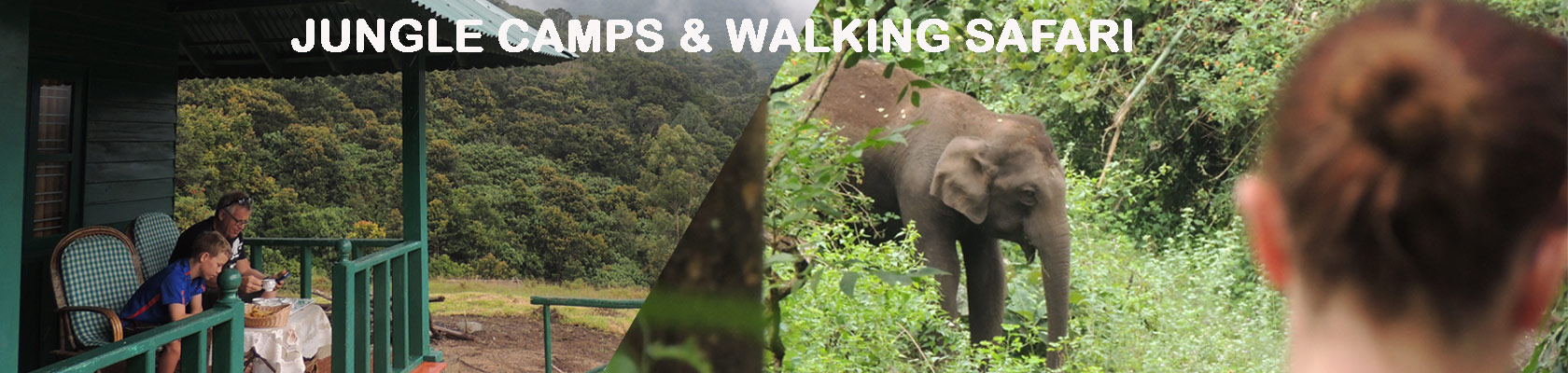 keralawildlife tours