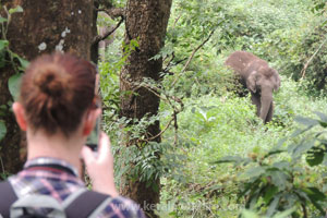 Wester ghats explorer