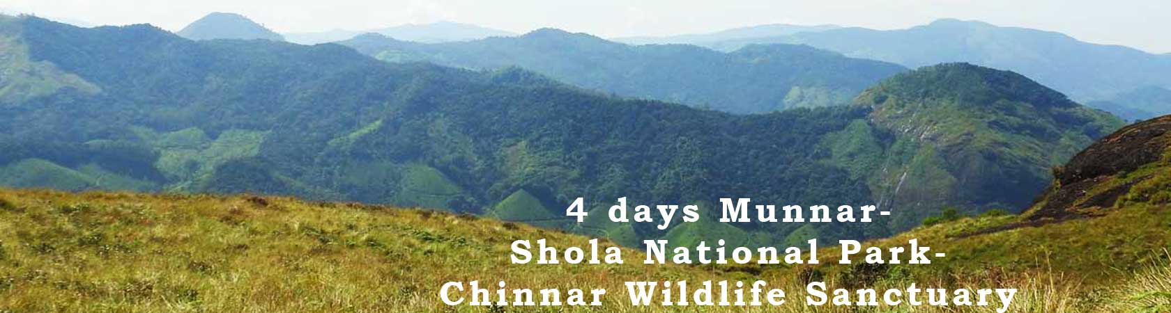 wildlife tour package