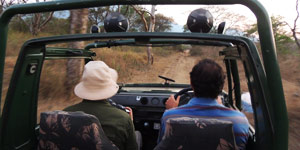 jeep safari in mazinagudi