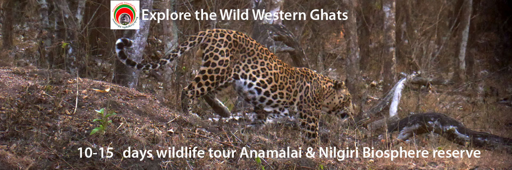 keralawildlife tours