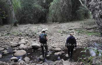 book a tour to chinnar