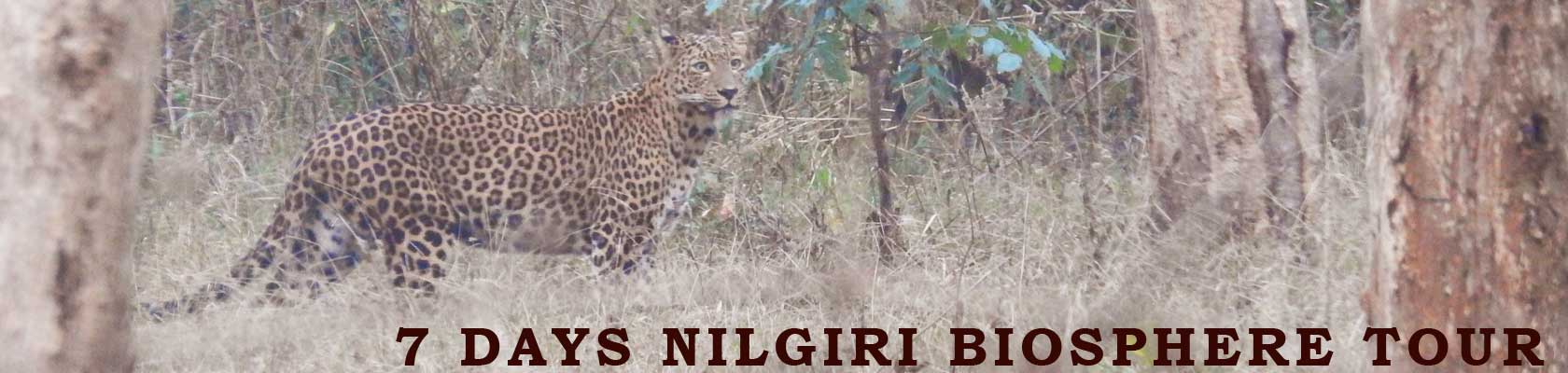 kerala wildlife tours