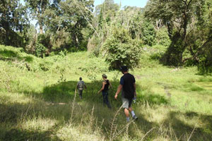 Wester ghats explorer