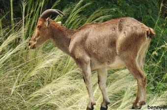 book a tour to chinnar