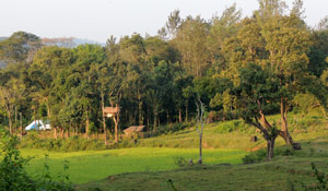 Accommodation in Wayanad